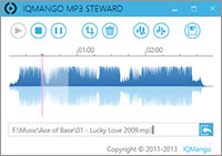 MP3 Steward- download now
